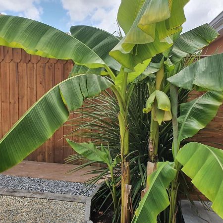Lou Cachotte Lägenhet Le Teich Exteriör bild